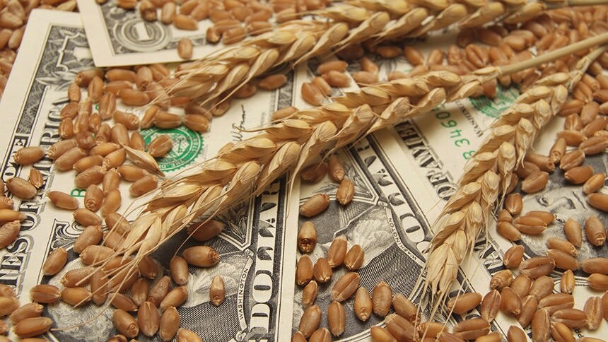 grain cash trading terminology
